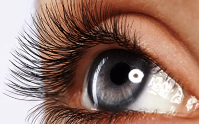 lash perming and tinting course